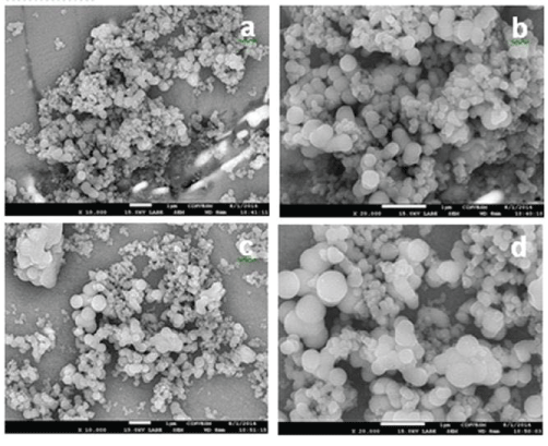 Antiepileptic Drugs Encapsulated in Sol-Gel Titania Nanoparticles